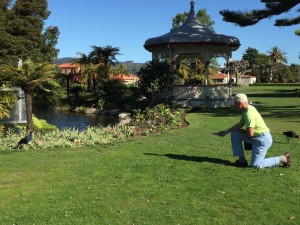 Rotorua